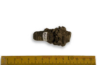 F 05164
<br/>
<br/>
<em></em>